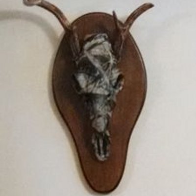 Profile Picture of Emilio Castanon (@2416emilio) on Twitter