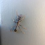 Profile Picture of Mark Rowland (@mark.g.rowland) on Instagram