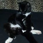 Profile Picture of Robin Bateman (@bateman.robin) on Instagram