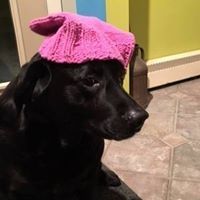 Profile Picture of Lisa Blier (@blier0032) on Pinterest