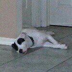 Profile Picture of Sonia Rivera (@chiq3184) on Instagram