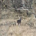 Profile Picture of Jeff Parnell (@parnell_jeff) on Instagram