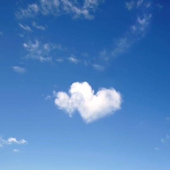 Profile Picture of Rawaa Rawaa (@rawaa8111) on Poshmark