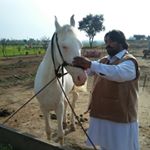 Profile Picture of Zubair Baig (@m.zubairbaig) on Instagram