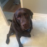 Profile Picture of Brad Hennessy (@hennessybrad7) on Instagram