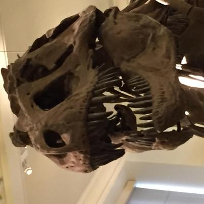 Profile Picture of Trebor Nosnibor (@TreborNosnibor) on Twitter