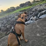 Profile Picture of Brandon Cassar (@brandon.cassar.254874) on Facebook