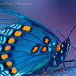 Profile Picture of Brandy And Gabriel Taylor (@taylorfamilyphotography) on Instagram