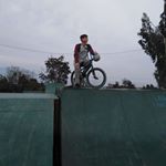 Profile Picture of Martin Salgado (@_martin_ridebmx_) on Instagram