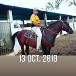 Profile Picture of Emigdio Sanchez (@emigdiosanchezm) on Instagram