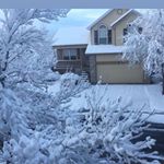 Profile Picture of Arzoo Sayed (@sayed_arzoo) on Instagram