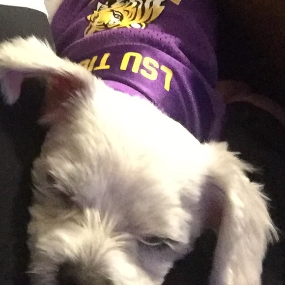 Profile Picture of Angie Lasseigne (@lasscaj1) on Poshmark