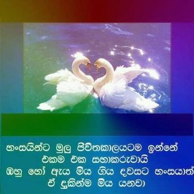 Profile Picture of Sunil Perera (@SunilPerera17) on Twitter