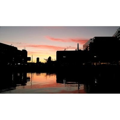 Profile Picture of Ross Patrick Cason (@rosscason) on Twitter