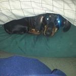 Profile Picture of Harold Sutton (@harold.sutton7) on Instagram