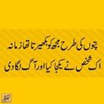 Profile Picture of Shazia Asim (@mrs_rana_asim) on Instagram