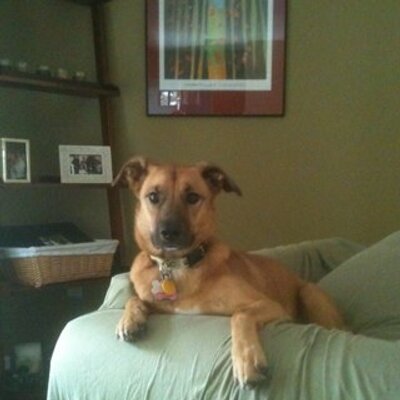 Profile Picture of Steve Anspach (@SJA219) on Twitter