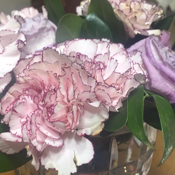 Profile Picture of Jeana Grothouse (@jgrote) on Poshmark