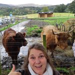 Profile Picture of Jennifer Quinlan Travel Pro (@penelopethetravelingpig) on Instagram