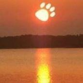 Terry Mclees - Tiktok Profile Picture of Terry Mclees (@terrymclees) on Tiktok