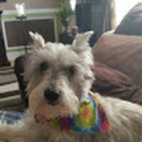 Profile Picture of Kevin Arpin (@kevin-arpin-3) on Quora