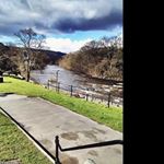 Profile Picture of darren_torresi (@darren_torresi) on Instagram