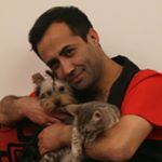 Profile Picture of Chris Herrera Leal Pet Groomer (@chl_pet_groomer) on Instagram