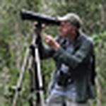 Profile Picture of Robert Scanlon (@robert scanlon) on Flickr