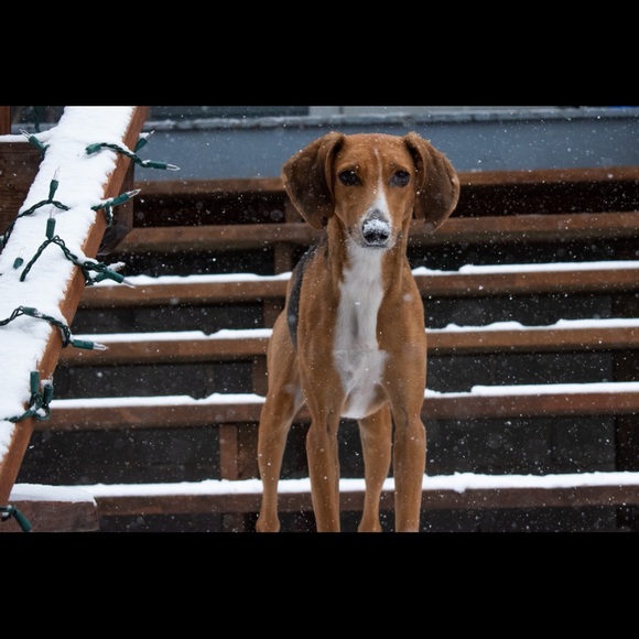 Profile Picture of Kyle Peach (@kyle_peach) on Poshmark