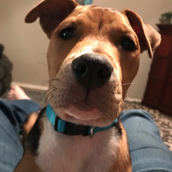 Dakota Thorman - Poshmark Profile Picture of Dakota Thorman (@dthor57) on Poshmark