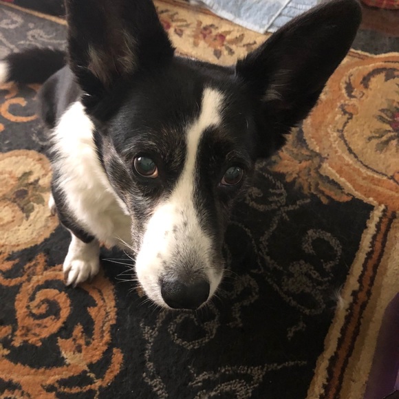 Profile Picture of Maggie Ehlen (@maggly) on Poshmark