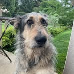 Profile Picture of Stefan Swoboda (@Stefan-Swoboda) on Facebook