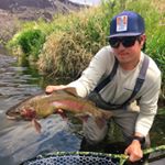 Profile Picture of Peter Hutter (@peterhutter) on Instagram