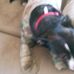 Profile Picture of John Breitenstein (@john.breitenstein.14) on Facebook