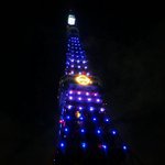 Profile Picture of Nicholas McFadden (@chikrapion) on Instagram