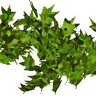 Profile Picture of Eliott Freeman (@eliottfreeman) on Pinterest