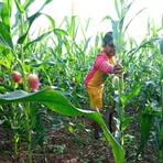 Profile Picture of Bernaldo Gamboa (@bernaldo.gamboa) on Facebook