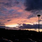 Tyler Mains - Instagram Profile Picture of Tyler Mains (@mains625) on Instagram