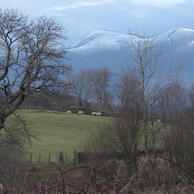 Profile Picture of Robert Lochhead (@lochhead_robert) on Twitter