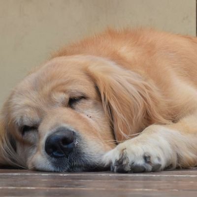 Profile Picture of Andy.Exë (@AndyEx13) on Twitter