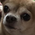 Profile Picture of Follow If Read You This Wrong (@mark____augellos_____finsta) on Instagram