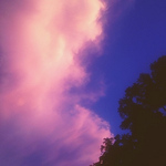 Profile Picture of Savannah Willis (@savwillis) on Flickr