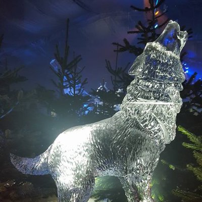 Profile Picture of Author Pamela Scott (@PamelaS37231802) on Twitter