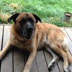 Danielle Wilson - Instagram Profile Picture of Danielle Wilson (@danielle.fenley) on Instagram