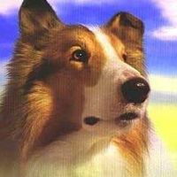 Leigh Ann Waggoner - Quora Profile Picture of Leigh Ann Waggoner (@leigh-ann-waggoner) on Quora