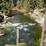 Profile Picture of Luke Regan (@luketregan) on Instagram