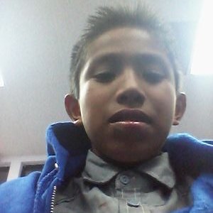 Profile Picture of Steven Medrano (@stevenmedrano16) on Twitter