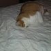 Profile Picture of Paula Denson (@pauladenson62) on Pinterest