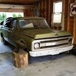 Profile Picture of David Shevock (@wired1018) on Instagram