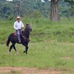 Profile Picture of Colón Oswaldo Borja Idrovo (@colonoswaldoborja) on Instagram